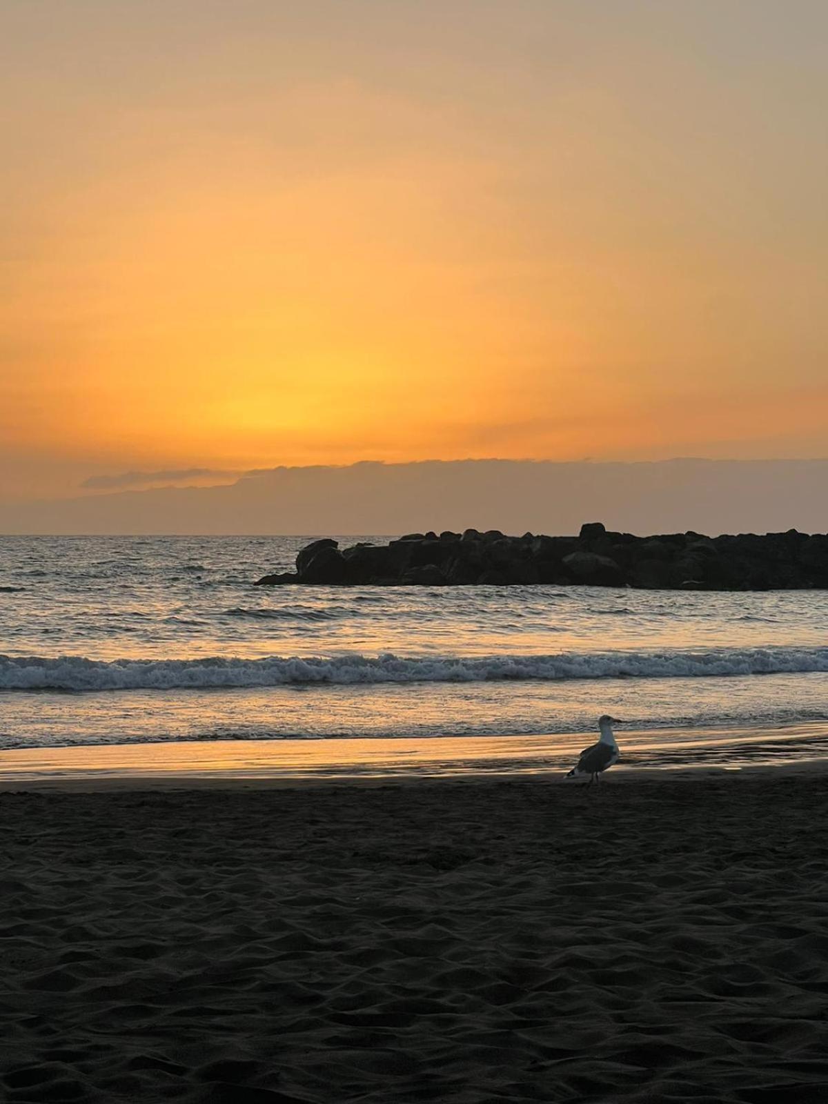 Apartamento En Primera Linea De Playa, Centrico, Tranquilo プラヤ・デ・ラス・アメリカス エクステリア 写真
